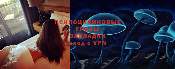 трава Беломорск