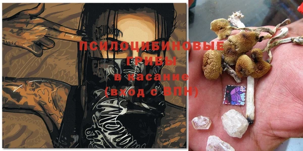 мяу мяу мука Белоозёрский